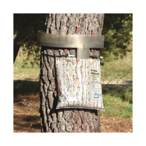 Collier processionnaires du pin