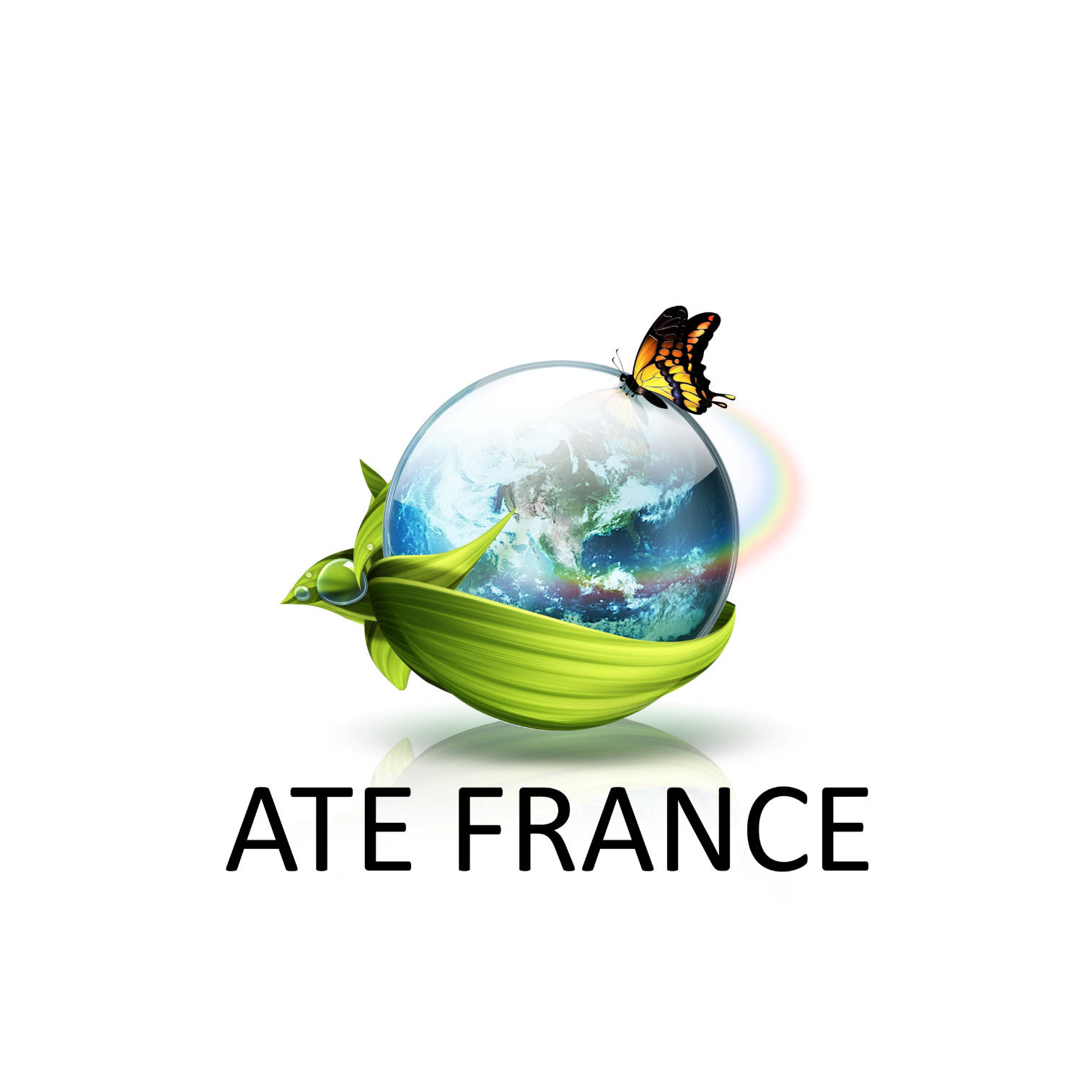 ATE France